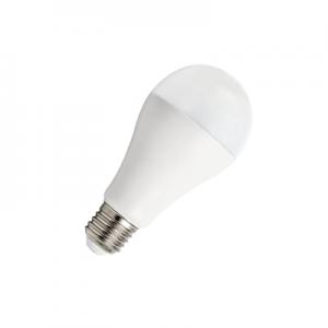 SMD LED Bulb A65