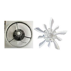 Fan Lights